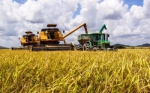 Итоги трудового сезона